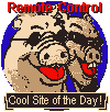 Remote Control Cool Site Award