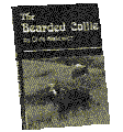 Bearded Collie
