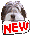 new