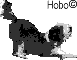 Hobo Tail wagging